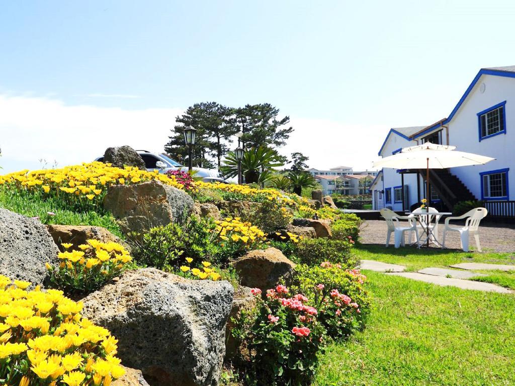 White Dream Pension Jeju Exterior photo
