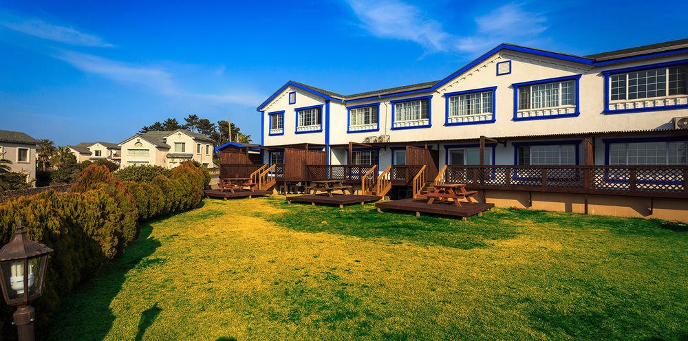 White Dream Pension Jeju Exterior photo