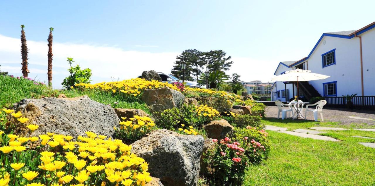 White Dream Pension Jeju Exterior photo